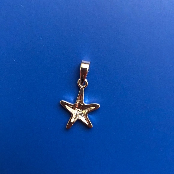 Sterling Silver Pendant with Lab Opal - Starfish - Picture 4 of 5